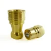 BSPT 1" Thread 1" Body Size ISO B Brass Quick Coupling Set